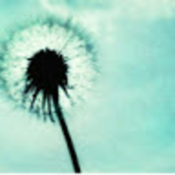 Meet your Posher, Sophia - Picture 1 of 1